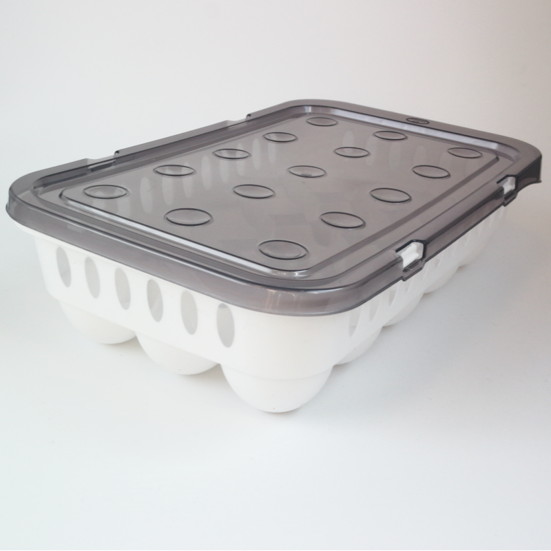 Boite à oeufs en plastique avec couvercle Boite à oeufs en plastique avec couvercle